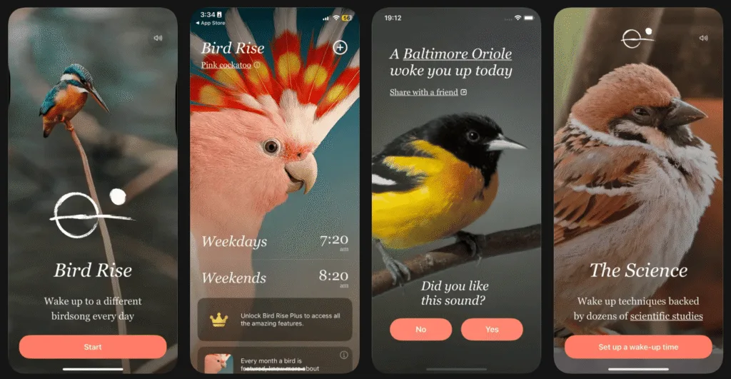 Bird Rise — gentle alarm app